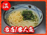 かけうどん