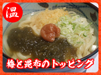 梅とろろ昆布うどん