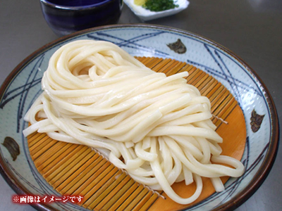 うどんイメージ